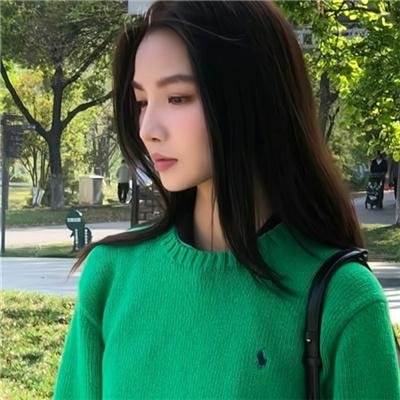 送赞雪橇犬